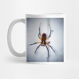 Spyder Mug